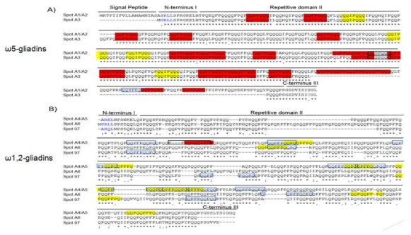 오메가-5 글리아딘과 오메가-1,2 글리아딘 글리아딘알파 글리아딘 단백질 동정 결과와 기존 문헌의 단백질들과 alignemnt 결과. WDEIA 알러지의 항원 결정기 (epitope)을 적색으로 표시하였고, 셀리악 병의 항원 결정기을 노란색으로 표시하였다