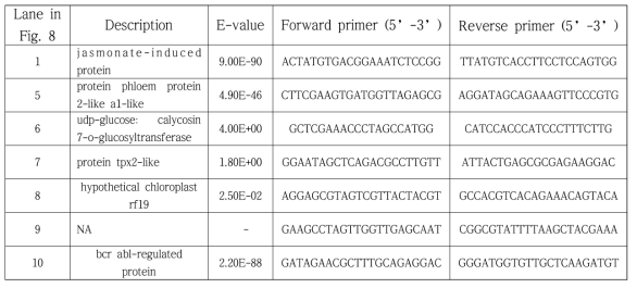 Description of transcripts referred and sequences of primers used in Fig 8