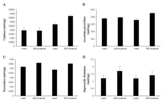 Effect of abscisic acid and polyethylene glycol treatment on the activities of various antioxidant enzymes. (A) catalase, (B) ascorbate peroxidase, (C) peroxidase, and (D) superoxide dismutase in colored wheat seedlings. Values and error bars represent means ± SD (n = 3)