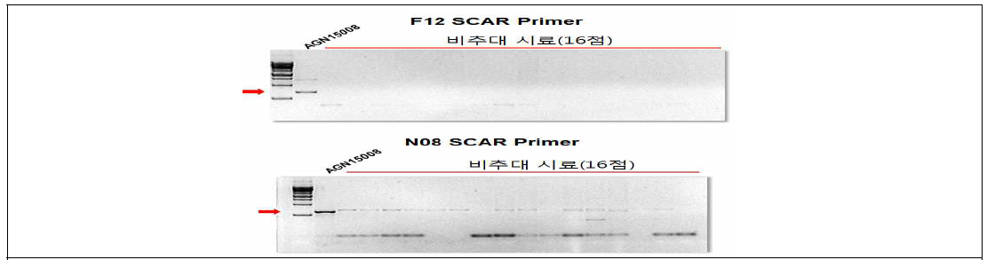 F12-SACR와 N08-SCAR 마커의 적용