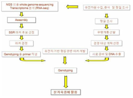 당귀, 더덕 분자 마커 개발을 위한 추진 체계