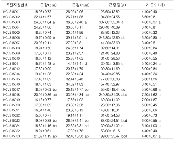 1차년도 더덕 유전자원 생육특성 조사