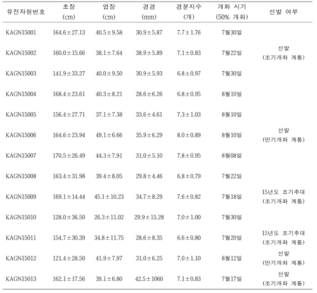 2016년 2차년도 당귀 유전자원의 지상부 생육특성