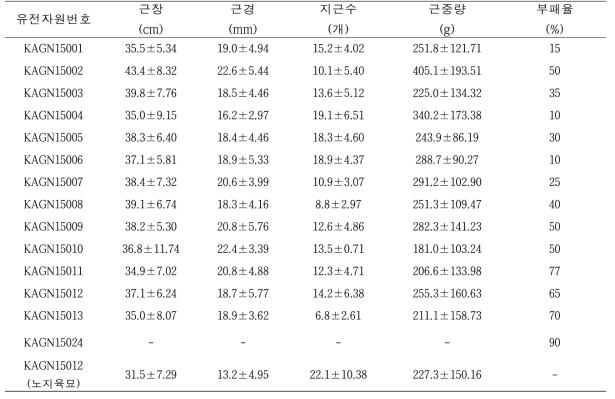 2016년 2차년도 당귀 유전자원의 지하부 생육특성
