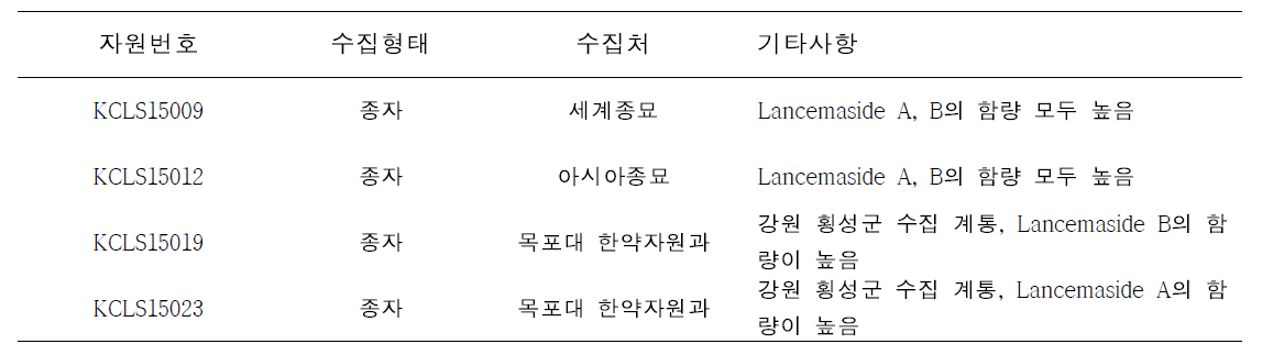 2016년 2차년도 더덕 유전자원 계통선발