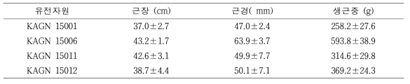 2017년 3차년도 당귀 선발 자원의 지하부 생육특성