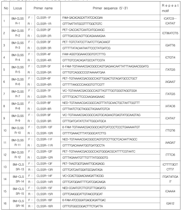 선행연구자에 의해 개발된 더덕 SSR 마커