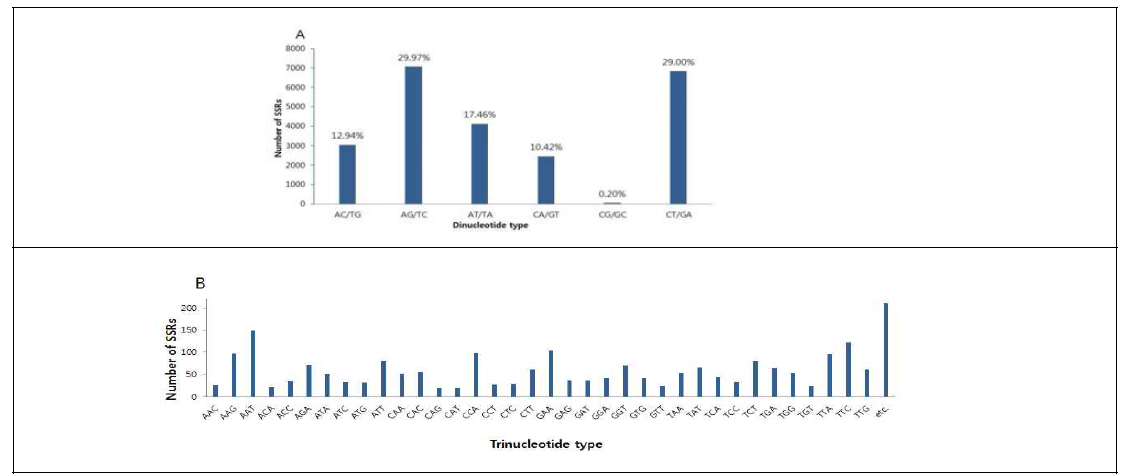 더덕 SSR motif 따른 서열별 frequency의 예. A: dinucleotide type, B: trinucleotide type