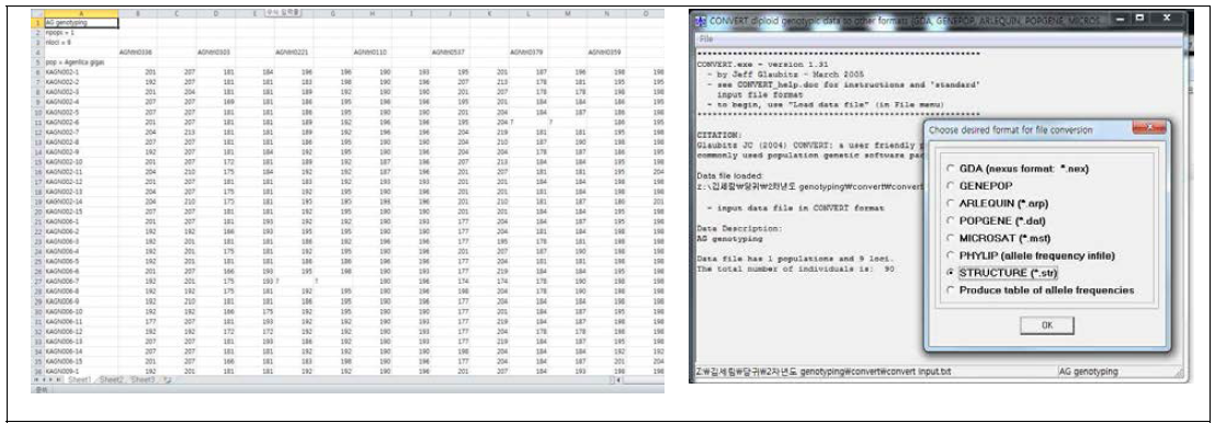당귀 유전자원 집단구조 분석을 위해 convert program을 이용한 데이터 세트 작성