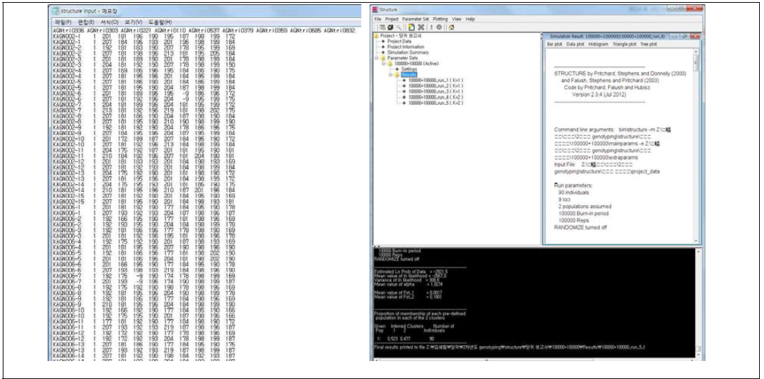 STRUCTURE program을 이용한 당귀 유전자원 집단구조 분석
