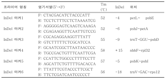 6개의 InDel 부위를 증폭하기 위해 제작된 primer 정보