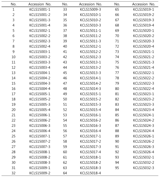 연구에 사용된 더덕의 accession에 No