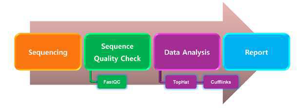 RNA-seq 염기서열 분석 과정