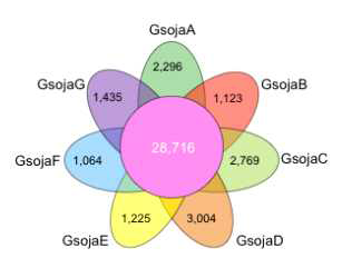 야생콩의 Core gene family와 dispensable gene family