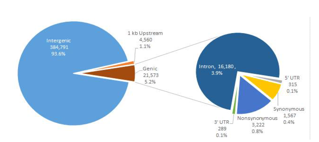 Classification of SNPs with read depths of more than 5 among 187 RILs derived from Sunhwanokdo x Gyeonggijaerae 5 according to genomic locations