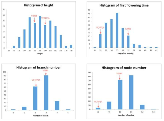 Histogram of agronomic trait of mungbean