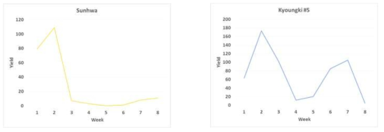 Distribution of yields per week of Sunhwa(VC1973A) and Kyoungki#5(V2984)