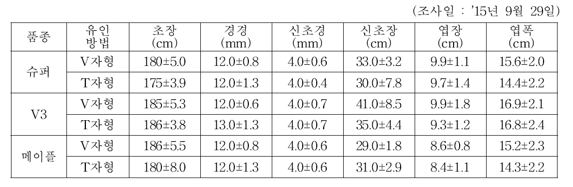 재식 1년차 블랙베리 덕 설치 후 생육특성