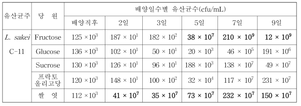 블랙베리 유산균(L. sakei C-11) 발효음료 배양일수별 유산균수