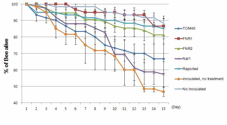 dsRNA의 처리에 따른 꿀벌의 생존율