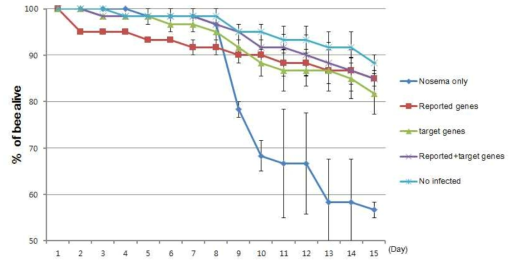 선발된 유전자의 4가지 dsRNA조합에 따른 꿀벌 생존률