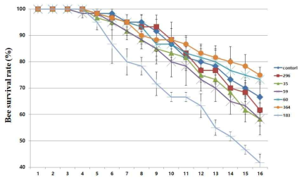5% 추출물에 대한 꿀벌 안전성