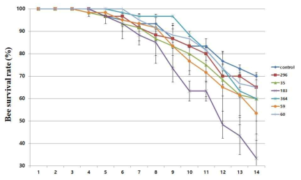 10% 추출물에 대한 꿀벌 안전성
