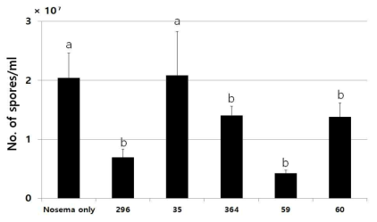 5% 추출물 전처리 포자생산억제 활성