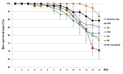 5% 추출물에 대한 꿀벌 발병억제 평가 후처리