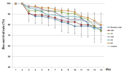 1% 추출물에 대한 꿀벌 발병억제 평가 후처리