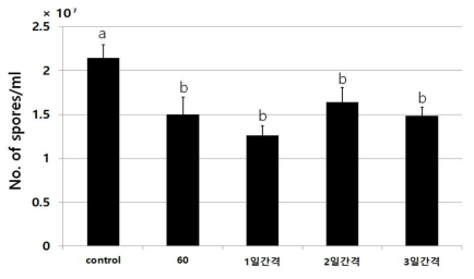 P ochonia sp. 60 배양액 추출물 처리 시기에 따른 포자 생산 억제 활성