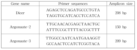 Oligonucleotide sequences of the primers for qPCR for RNAi pathway genes