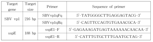 Primers used for quantitative PCR of SBV vp1 gene