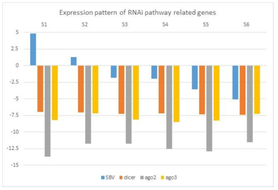 Gene expression pattern of RNAi pathway related genes. Total of six worker bees were collected from SBV infexted hive for qPCR. Y-axis stands for the delta-Ct value bwtween the actin referece gene and target genes. The relative differential transcription levels can be calculated by Log2(delta-Ct). Lower number means less transcription