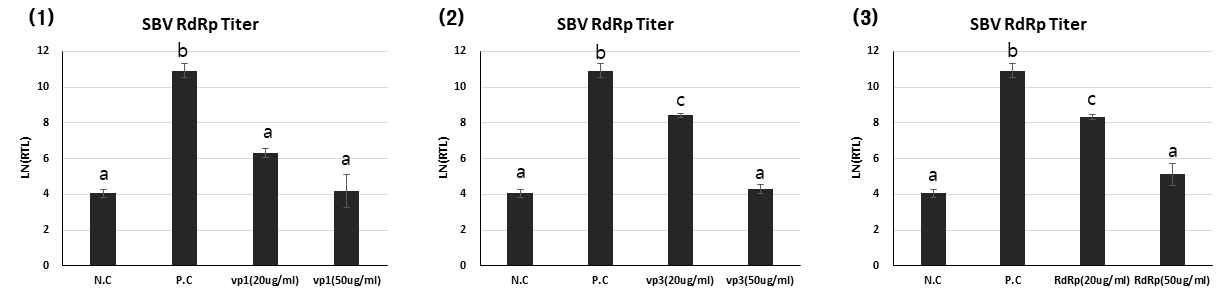 The relative virus replication levels of dsRNA treated workers. Each sample groups were infected with SBV (109 virus/mL) for 12 hours, and treated with dsRNA for 48 hours followed by total RNA extraction of pooled samples. Y-axis stands for the related transcription level between the actin reference gene and SBV gene. The relative differential transcription levels can be calculated by Ln(delta-Ct). Lower number means less transcription. (N.C; Negative control: feeding 40% sucrose solution for 60 hours, P.C; Positive control: feeding SBV (109 virus/mL) for 12hours, and 40% sucrose solution for 48hours.)