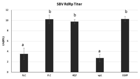 The relative virus replication levels of total RNA treated workers. Each sample groups were infected with SBV (109 virus/mL) for 12 hours, and treated with total RNA (1.5ug/ul) from transformed Bacillus thuringiensis for 48 hours followed by total RNA extraction of pooled samples. Y-axis stands for the natural logarithm related transcription level between the actin reference gene and SBV gene. The relative differential transcription levels can be calculated by Ln(delta-Ct). Lower number means less transcription. (N.C; Negative control: feeding 40% sucrose solution for 60 hours, P.C; Positive control: feeding SBV (109 virus/mL) for 12hours, and 40% sucrose solution for 48hours.)