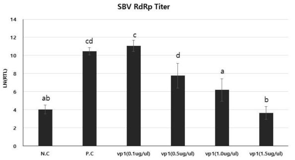 The concentration dependent relative virus replication levels of total RNA treated workers. Each sample groups were infected with SBV (109 virus/mL) for 12 hours, and treated with 0.1, 0.5, 1.0, and 1.5 ug/ul of dsRNA containing total RNA from pHT1K-SBV vp1 transformed Bacillus thuringiensis for 48 hours followed by total RNA extraction of pooled samples. Y-axis stands for the natural logarithm related transcription level between the actin reference gene and SBV gene. The relative differential transcription levels can be calculated by Ln(delta-Ct). Lower number means less transcription. (N.C; Negative control: feeding 40% sucrose solution for 60 hours, P.C; Positive control: feeding SBV (109 virus/mL) for 12hours, and 40% sucrose solution for 48hours.)