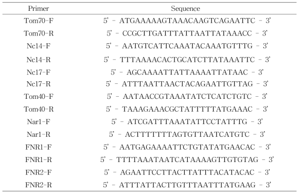 후보 유전자 확보를 위한 primer 서열