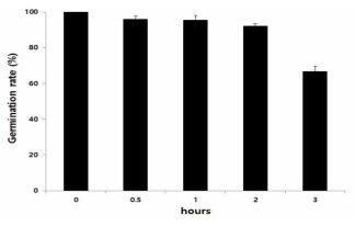 효소 처리시간에 따른 포자 발아율