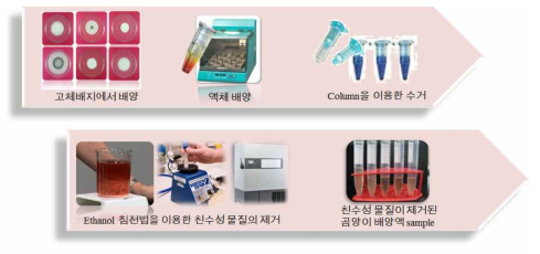 항노제마 후보물질 선발을 위한 곰팡이 배양액의 효율적인 생산 및 수거 방법 모식도