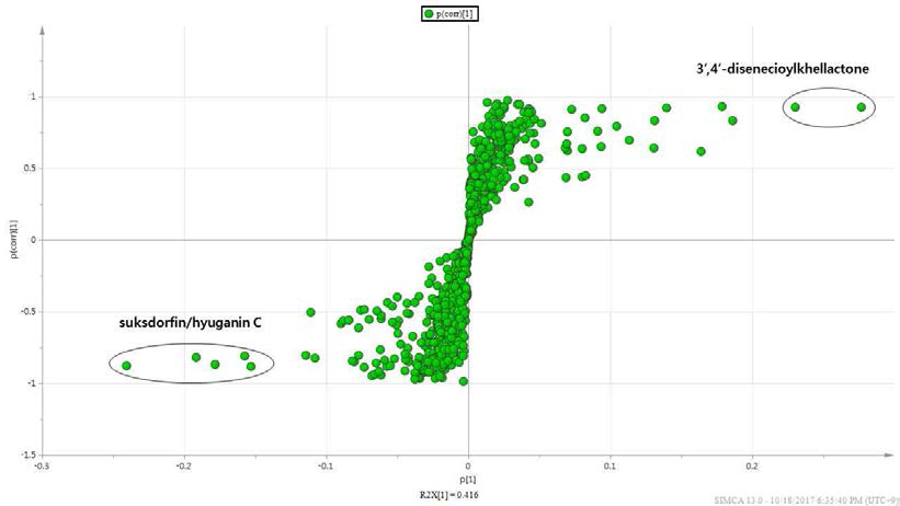 종자 파종 식방풍의 수확시기별 LC-MS OPLS-DA의 S-plot