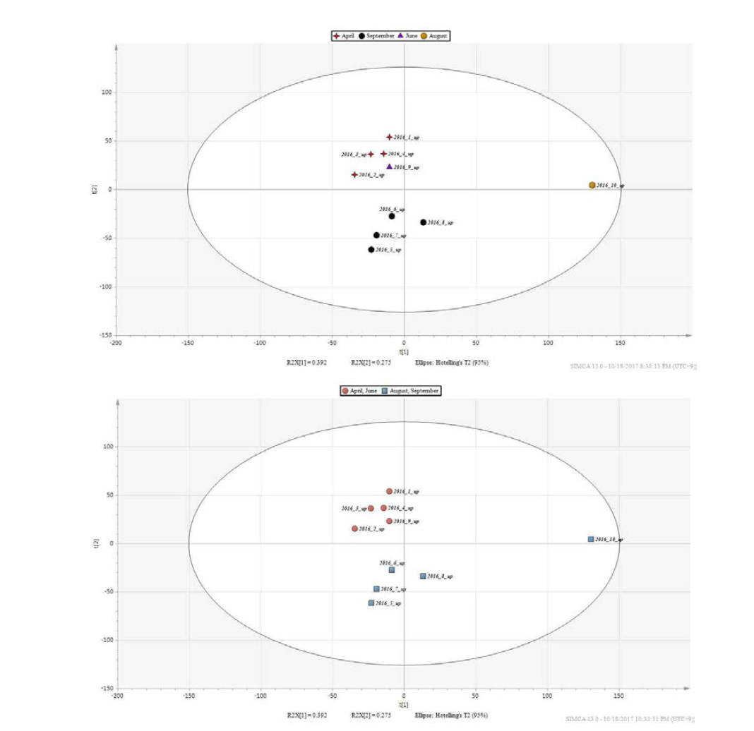 식방풍 지상부의 수확시기별 (4, 6, 8, 9월) LC-MS PCA score plot