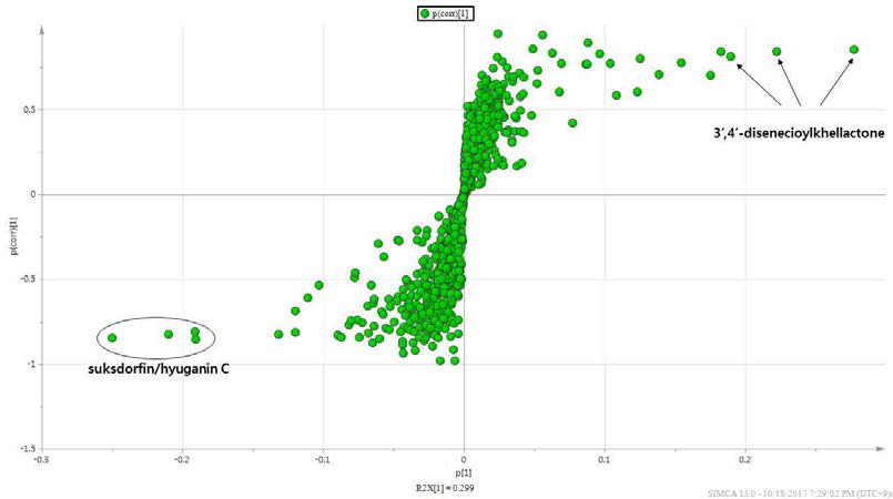 식방풍 지상부의 수확시기별 (5, 7, 8월) LC-MS OPLS-DA의 S-plot