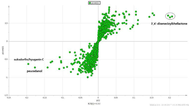식방풍 지하부의 수확시기별 (5, 7, 8월) LC-MS OPLS-DA의 S-plot