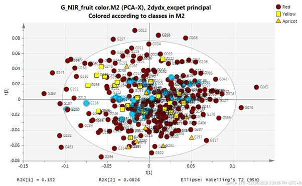 열매색 별 NIR 스펙트럼의 PCA score scatter plot