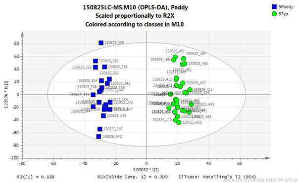 재배 토양별 LC-MS OPLS-DA score plot