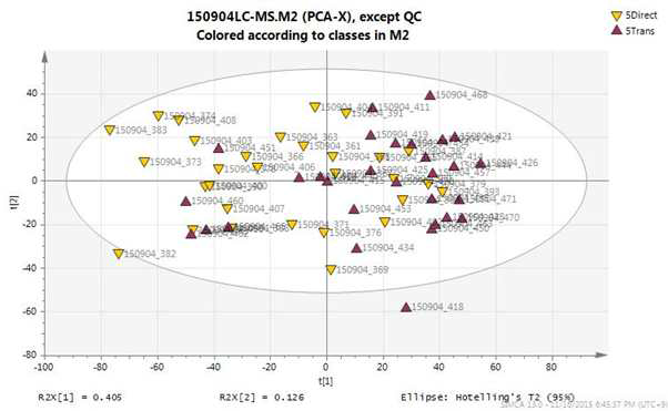 파종 방법별 LC-MS PCA score plot
