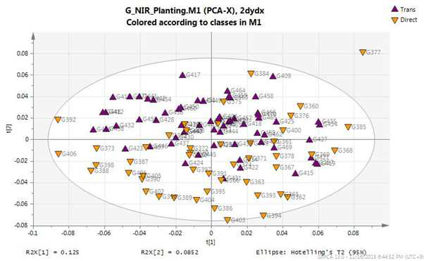 파종 방법별 NIR PCA score plot