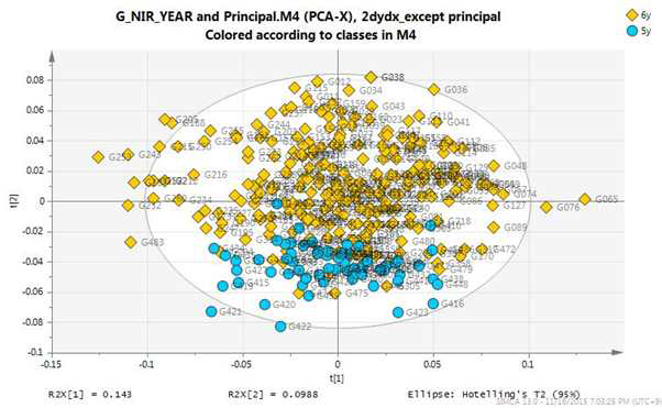6년생과 5년생 시료 NIR PCA score plot