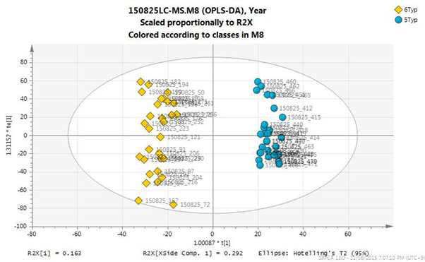 6년생과 5년생 시료 LC-MS OPLS-DA score plot
